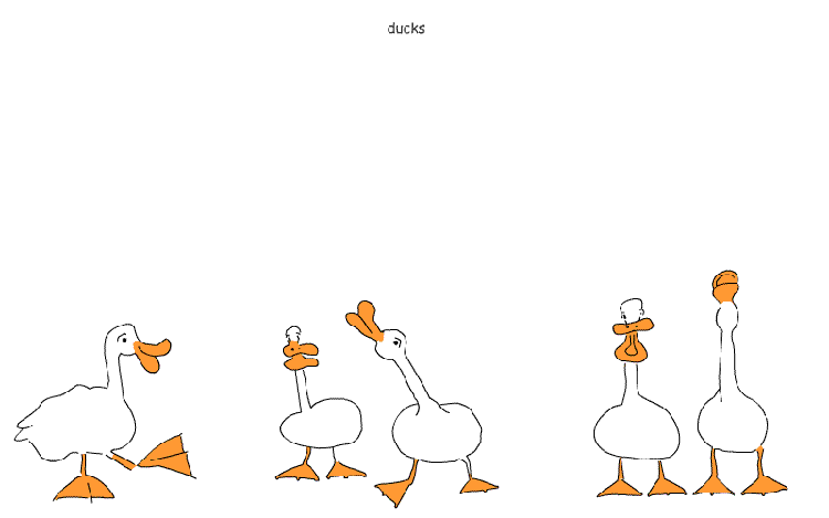 Animal 1