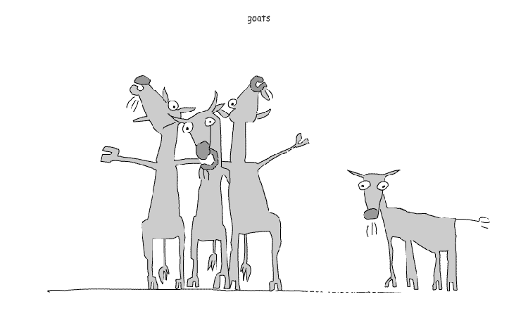 Animal 4