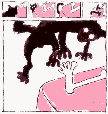 Image from Mr. Hurley (cat)