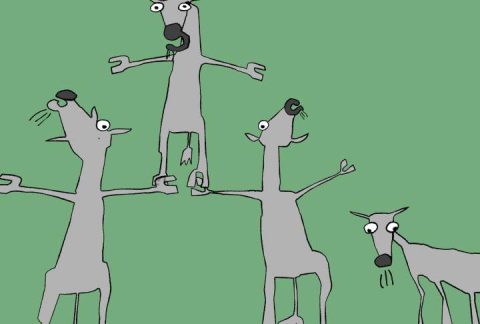 Image from Roy G Biv (animals.10)