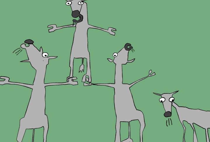 Image from Roy G Biv (animals.10)