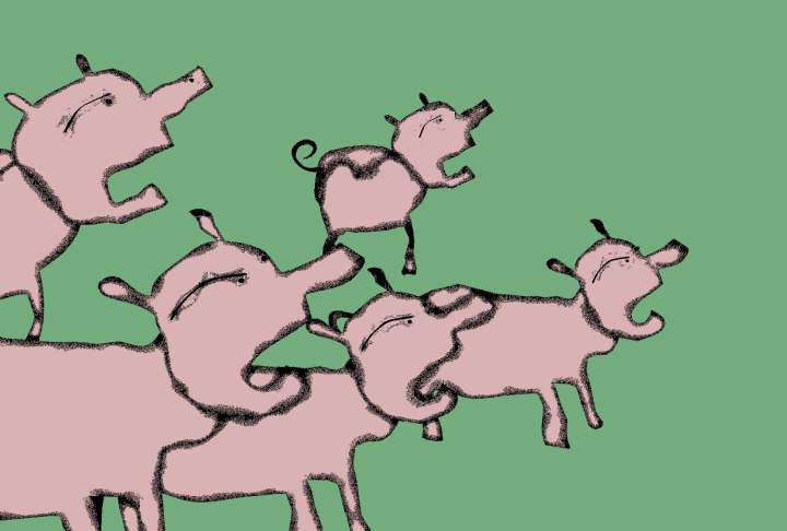 Image from Roy G Biv (animals nod.19)