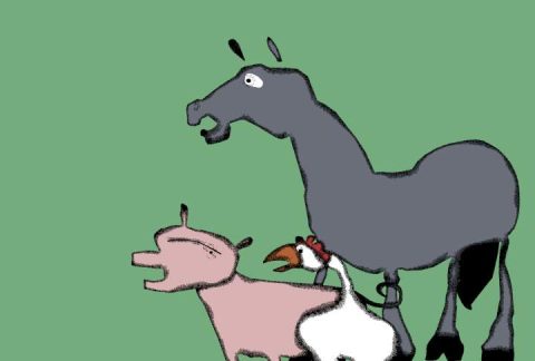 Image from Roy G Biv (animals nod.76)