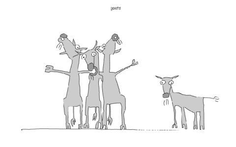 Image from Roy G Biv (animals0004)
